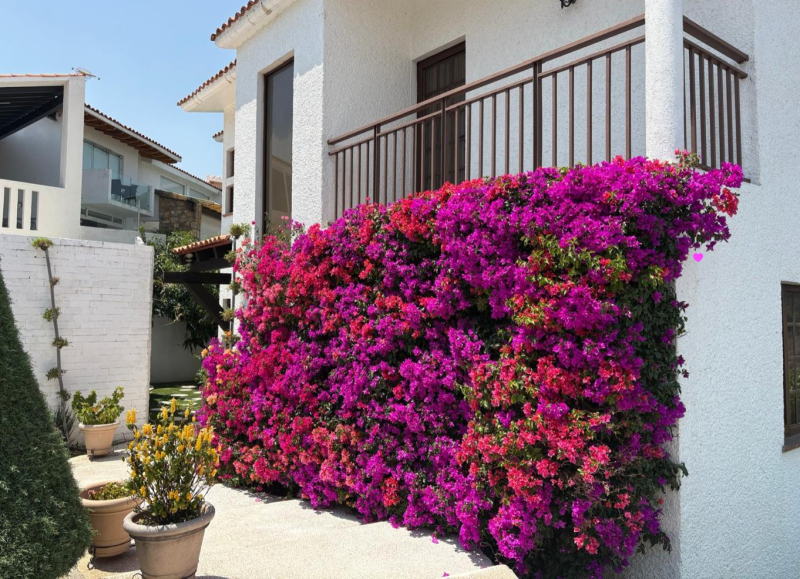 Casa en Venta en Ixtapan de la Sal 