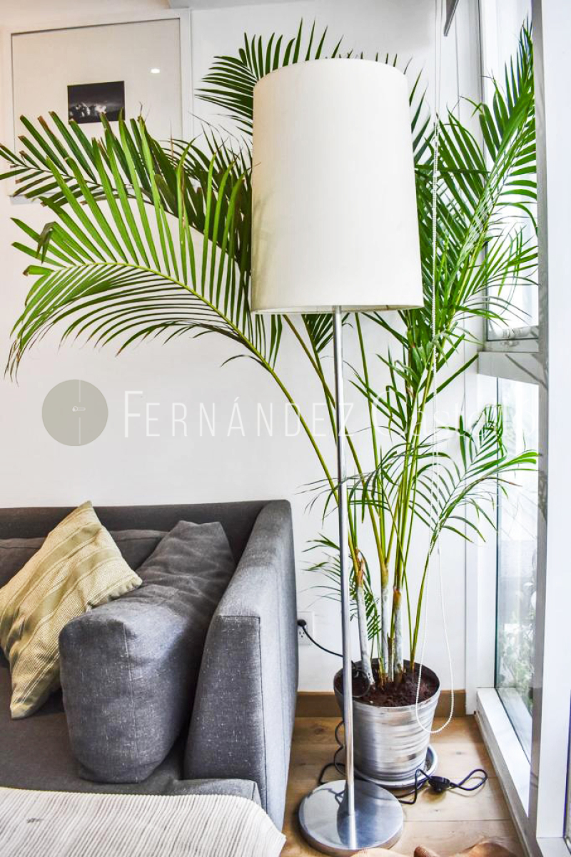RENTA DEPARTAMENTO AMUEBLADO EN ICON CONDESA