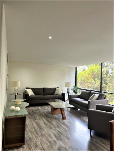 Departamento Amueblado Renta En Polanco Horacio