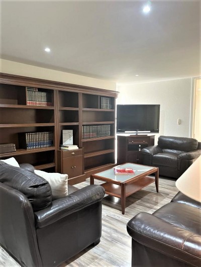 Departamento Amueblado Renta En Polanco Horacio