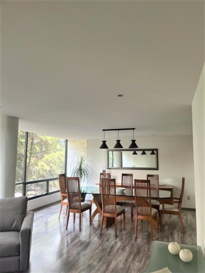 Departamento Amueblado Renta En Polanco Horacio