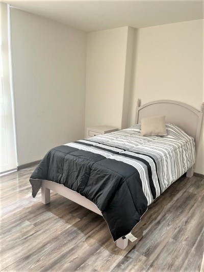 Departamento Amueblado Renta En Polanco Horacio