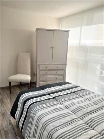 Departamento Amueblado Renta En Polanco Horacio