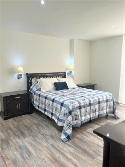 Departamento Amueblado Renta En Polanco Horacio