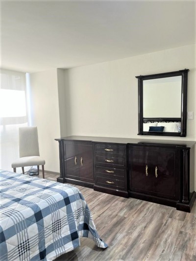 Departamento Amueblado Renta En Polanco Horacio