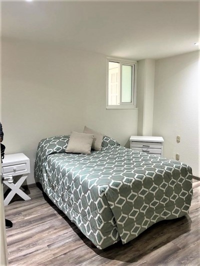 Departamento Amueblado Renta En Polanco Horacio