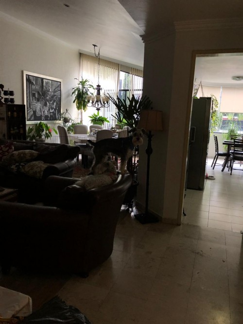 Excelente Departamento En Venta En Interlomas A Un Costado Del Hospital Ángeles  