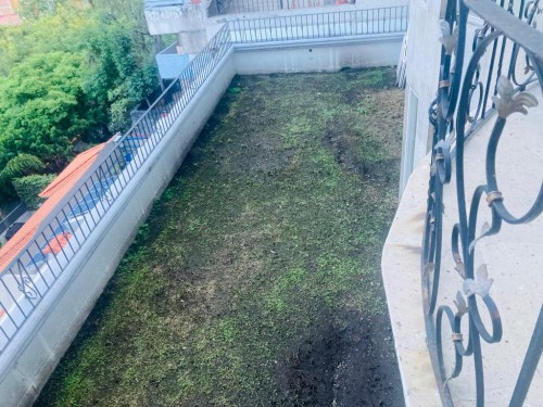 Casa En Venta Tecamachalco, Con Jardín Y Terrazas