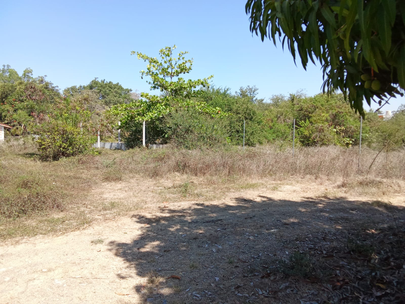 Terreno Habitacional-comercial En Venta En Lázaro Cárdenas