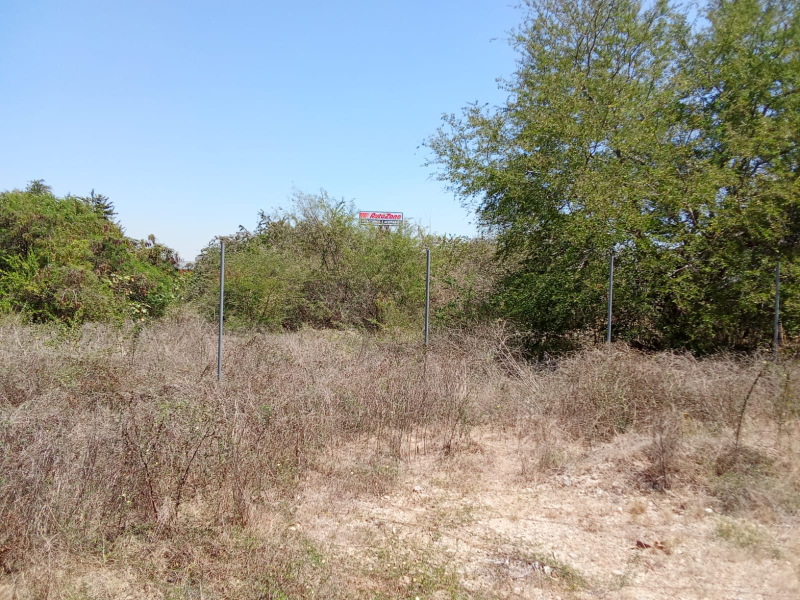 Terreno Habitacional-comercial En Venta En Lázaro Cárdenas