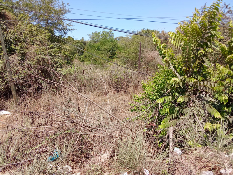 Terreno Habitacional-comercial En Venta En Lázaro Cárdenas