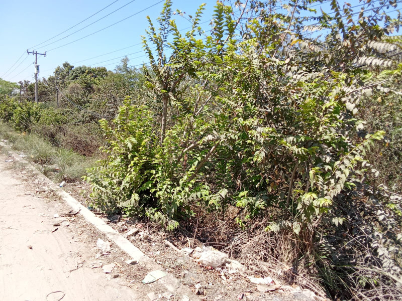 Terreno Habitacional-comercial En Venta En Lázaro Cárdenas
