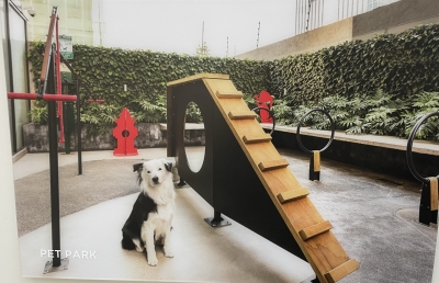Departamento En Venta Nuevo Polanco