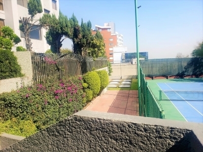 departamento en renta en lomas de tecamachalco