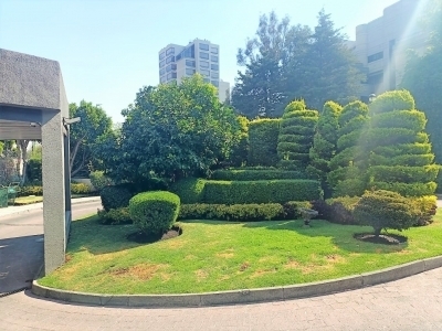 departamento en renta en lomas de tecamachalco