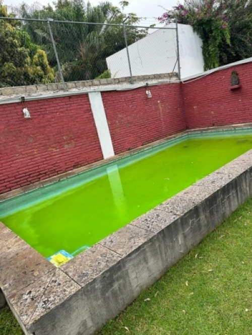 Oficina En Venta En Jardines Del Bosque