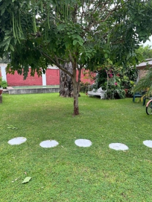 Oficina En Venta En Jardines Del Bosque