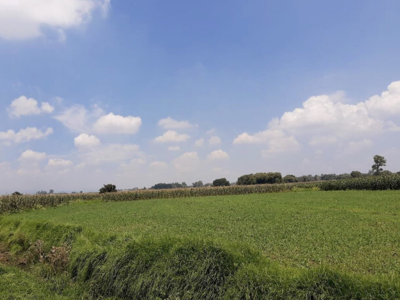 oportunidad terreno en venta - estado de méxico - zona lerma