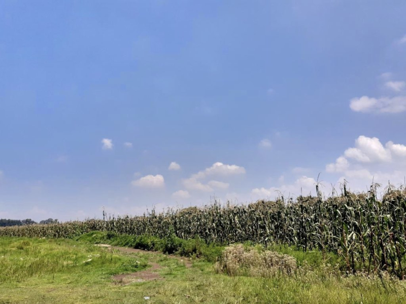 oportunidad terreno en venta - estado de méxico - zona lerma