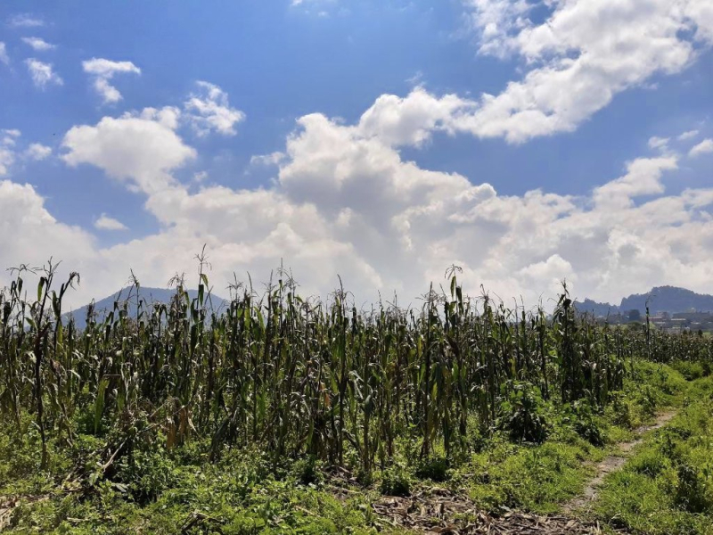 oportunidad terreno en venta - estado de méxico - zona lerma