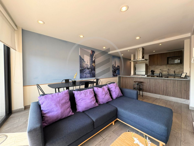 departamento en venta en roma sur