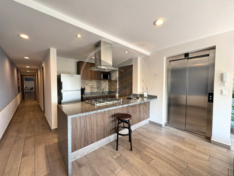 departamento en venta en roma sur