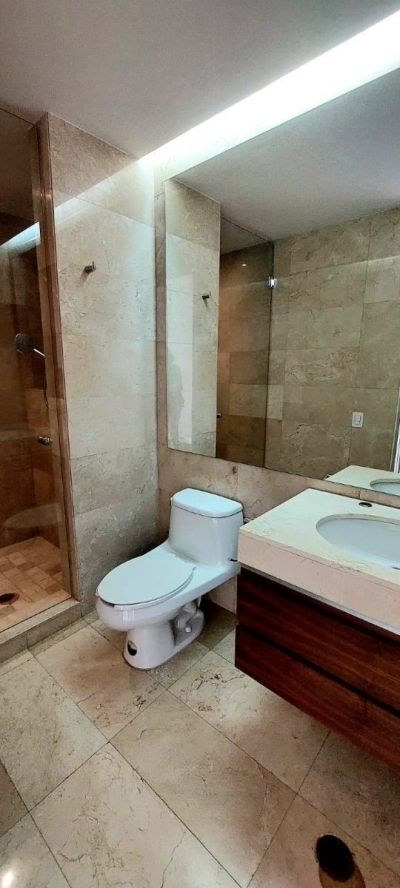 exclusivo departamento en renta con electrodomesticos polanco