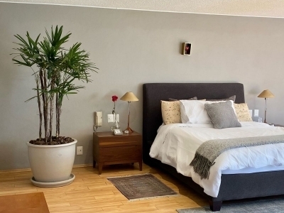 pent house en venta, bosque de las lomas