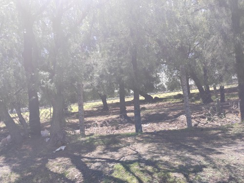 Terreno En Venta En Ampliación La Palma (Zona Industrial) 