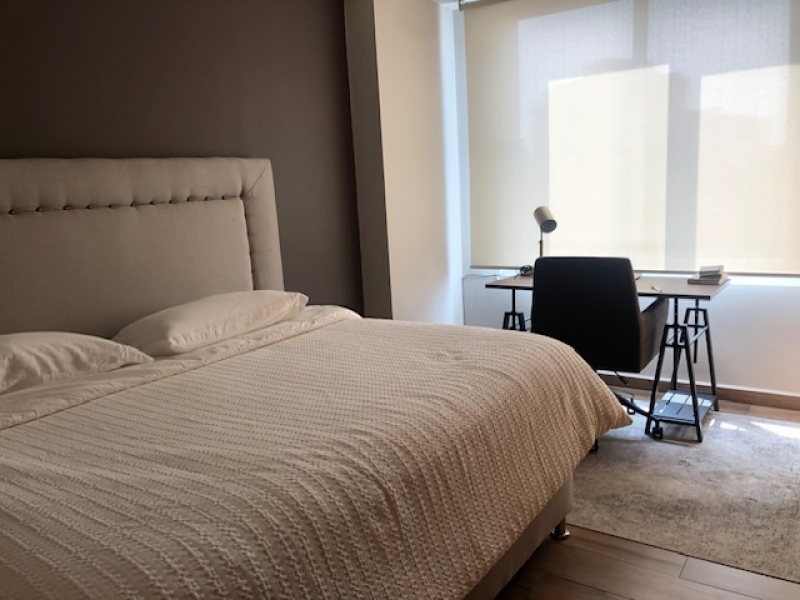 Ph En Renta En Polanco Amueblado Con Gran Terraza 