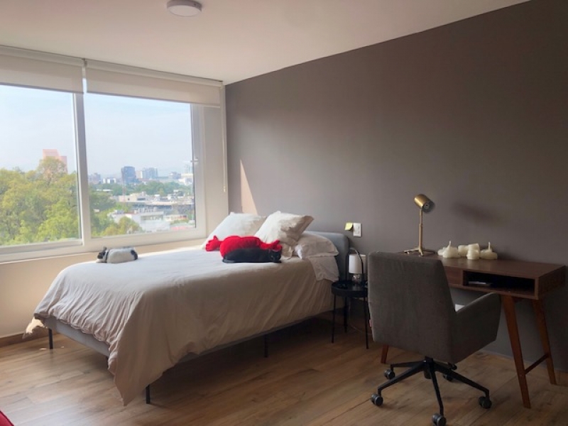 Ph En Renta En Polanco Amueblado Con Gran Terraza 
