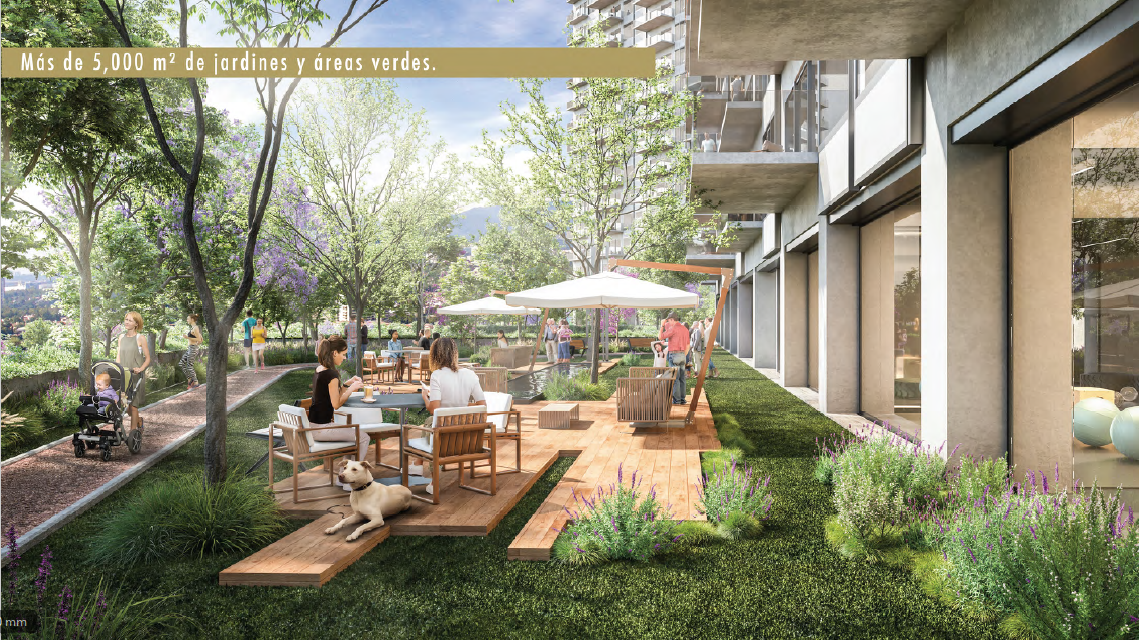 vive en bosques de las lomas