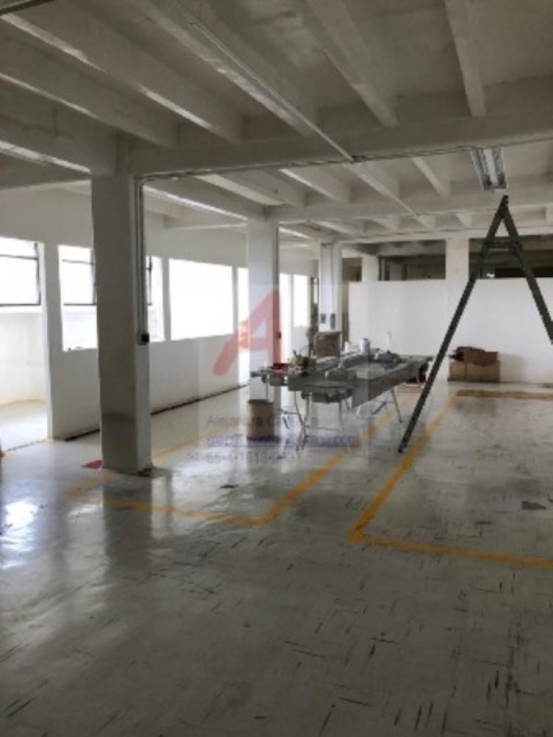 oficina en renta en industrial tlatilco