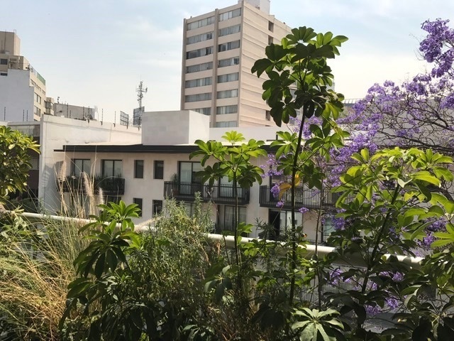 extraordinario ph en taine, polanco
