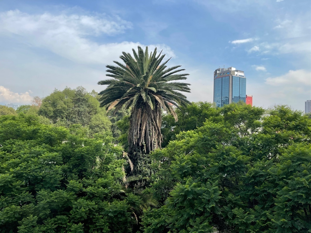 excelente departamento con gran ubicación.