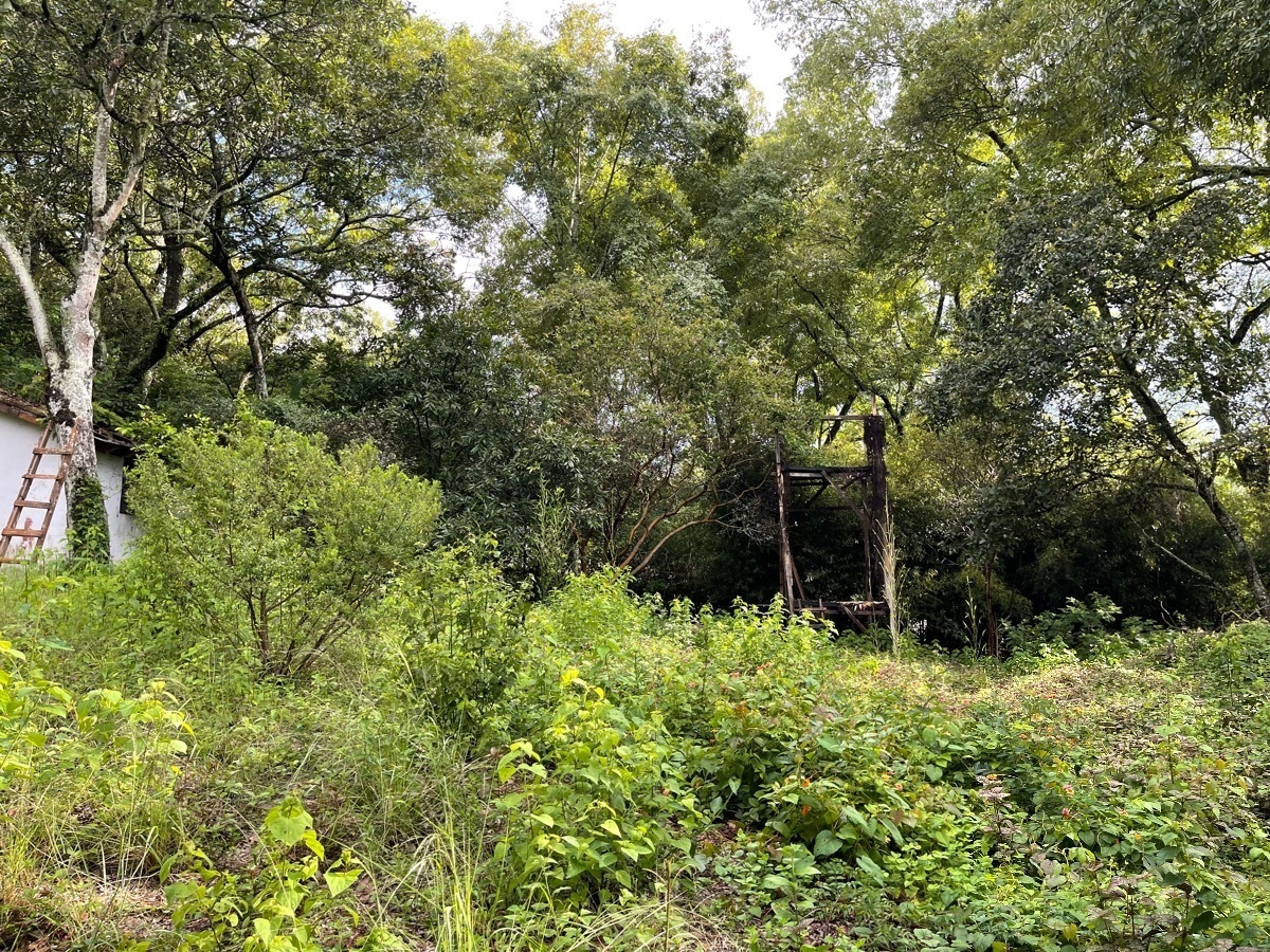 Terreno en venta en Pueblo de Valle de Bravo