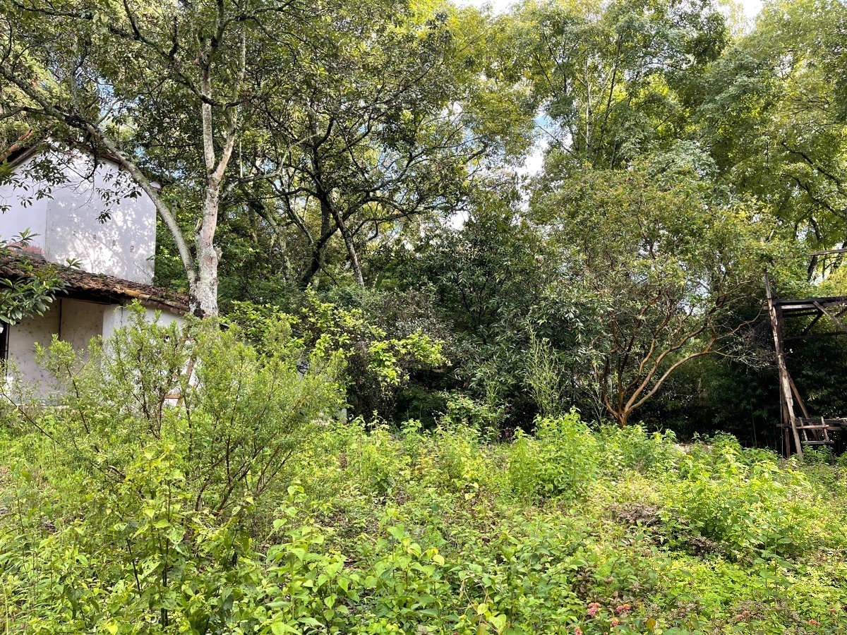 Terreno en venta en Pueblo de Valle de Bravo