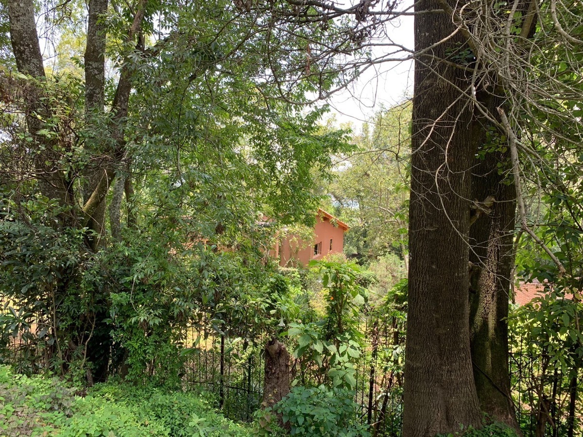 Terreno en venta en Pueblo de Valle de Bravo