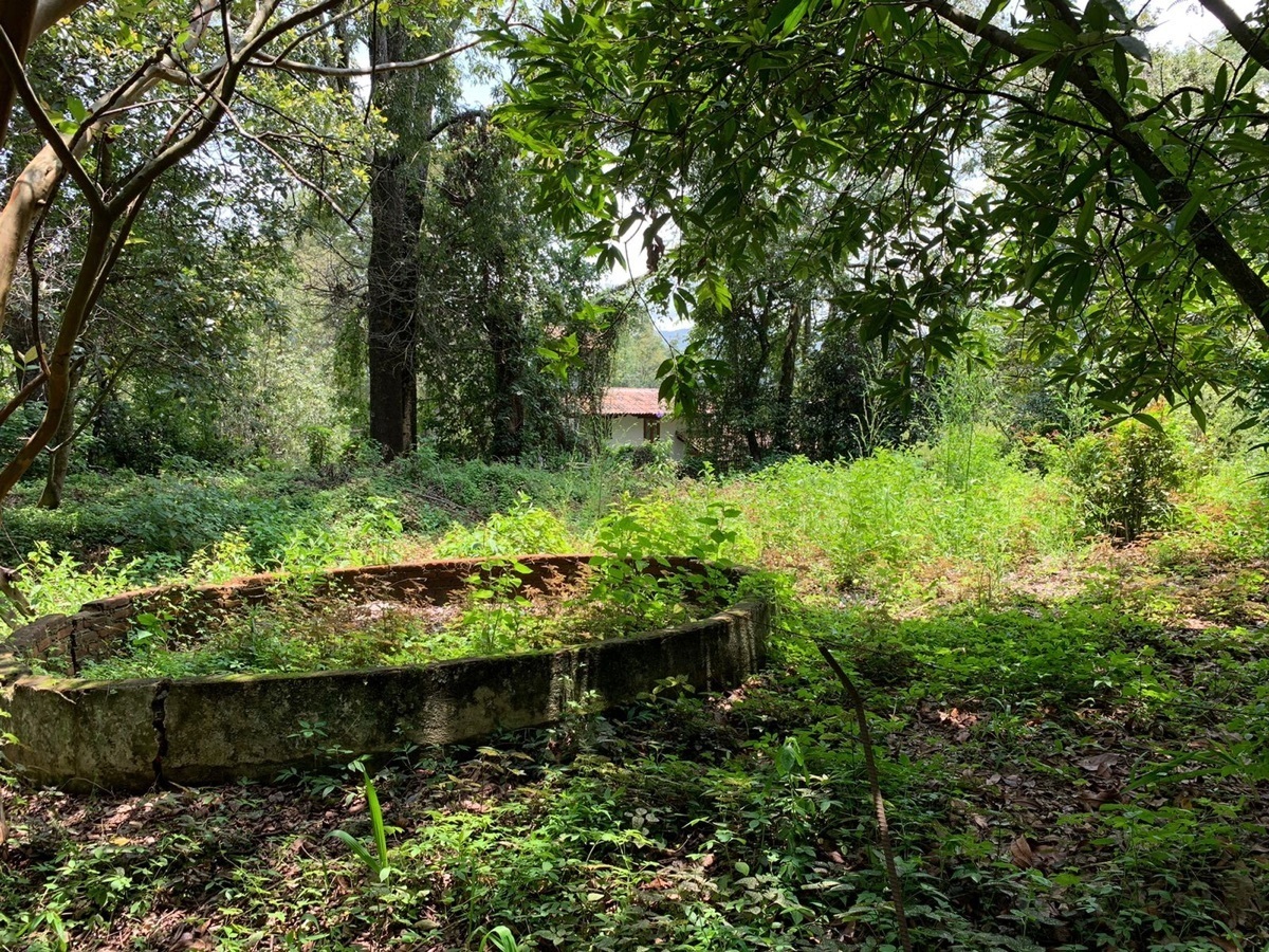 Terreno en venta en Pueblo de Valle de Bravo