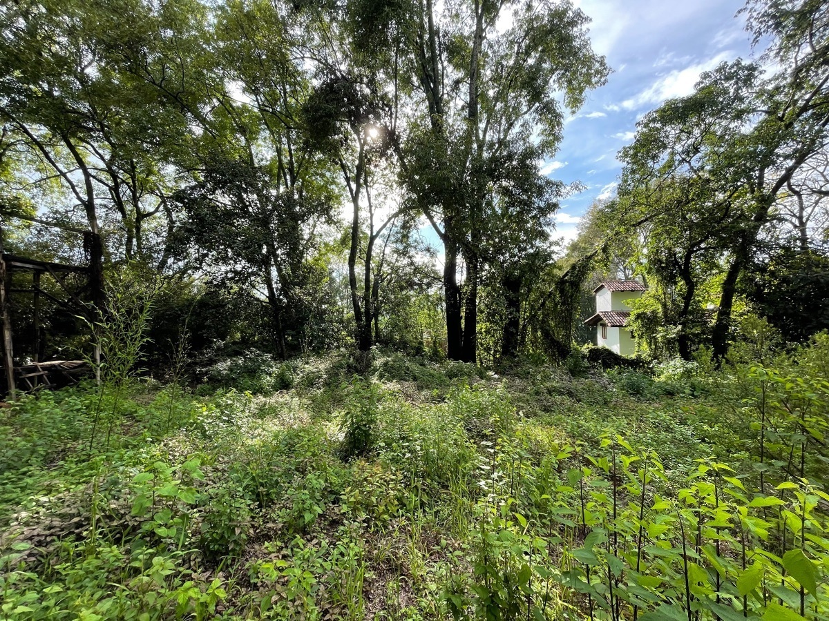 Terreno en venta en Pueblo de Valle de Bravo