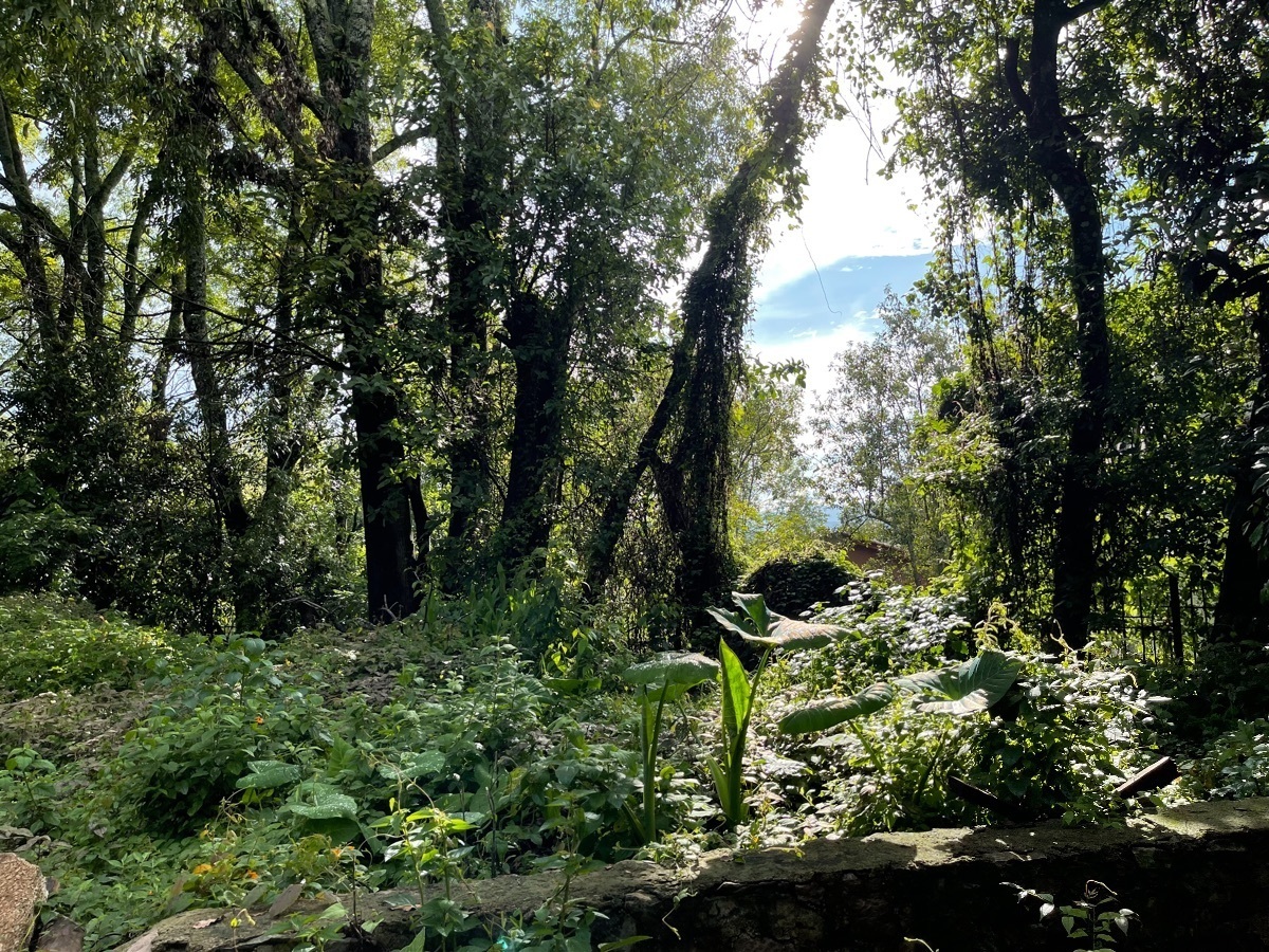 Terreno en venta en Pueblo de Valle de Bravo