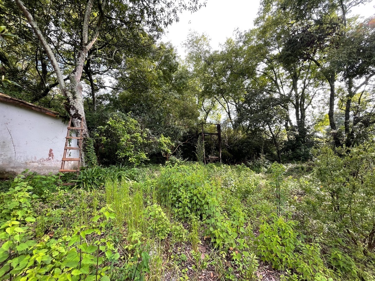 Terreno en venta en Pueblo de Valle de Bravo