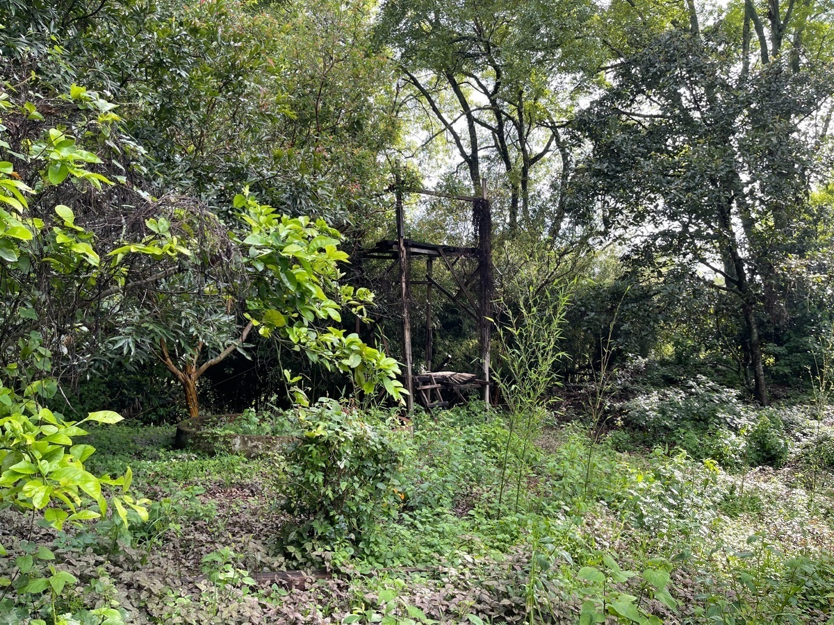 Terreno en venta en Pueblo de Valle de Bravo