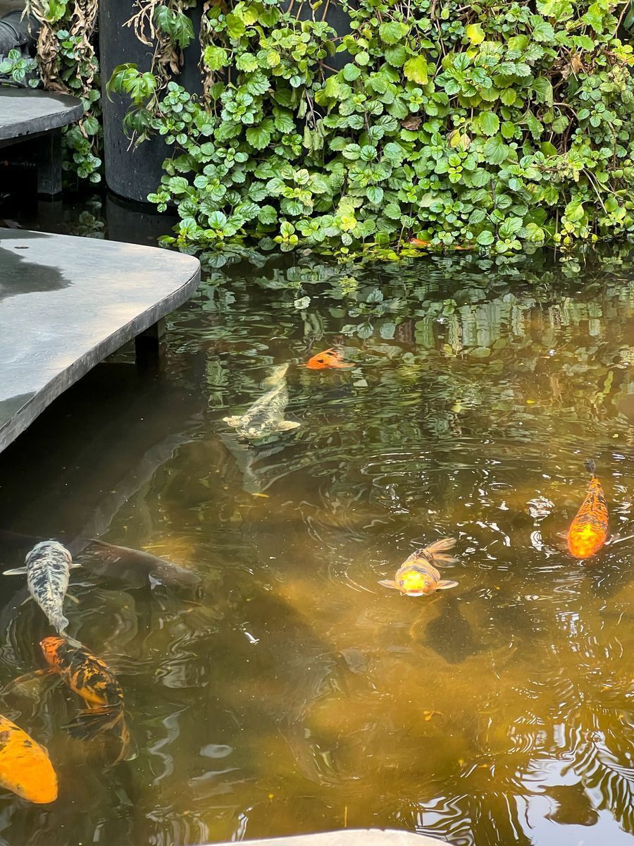 Extraordinaria casa en venta