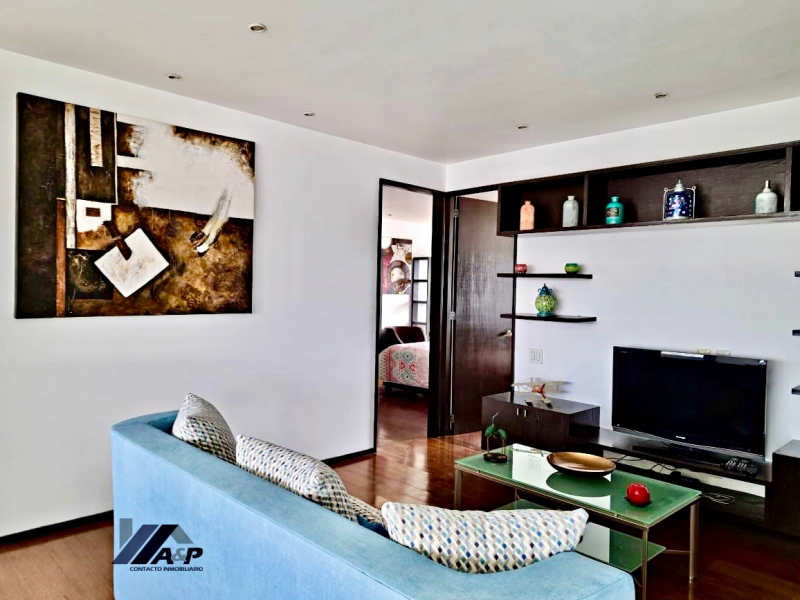  Polanco IV Renta Departamento Amueblado  Eugenio Sue