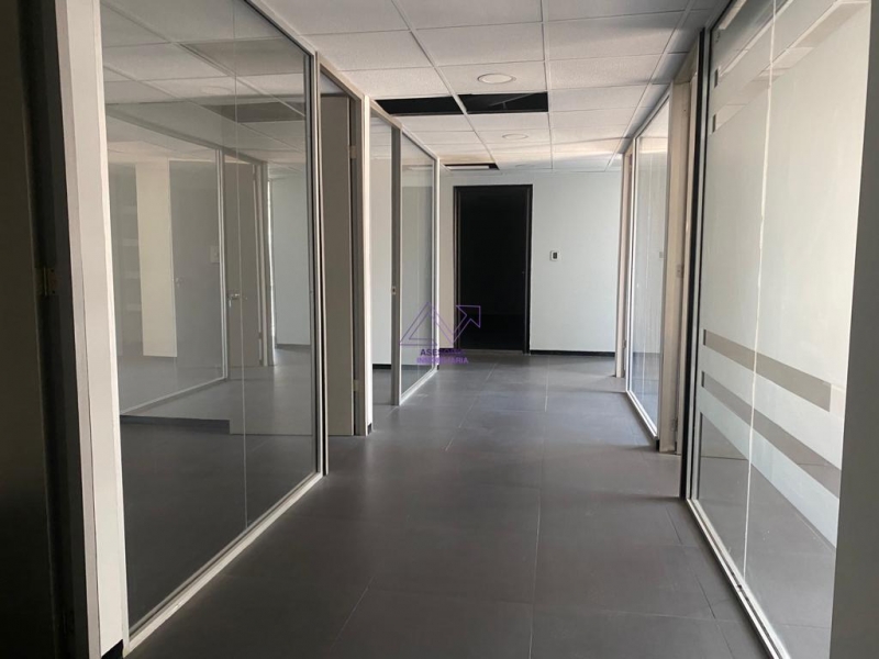 Oficina En Renta En Anzures