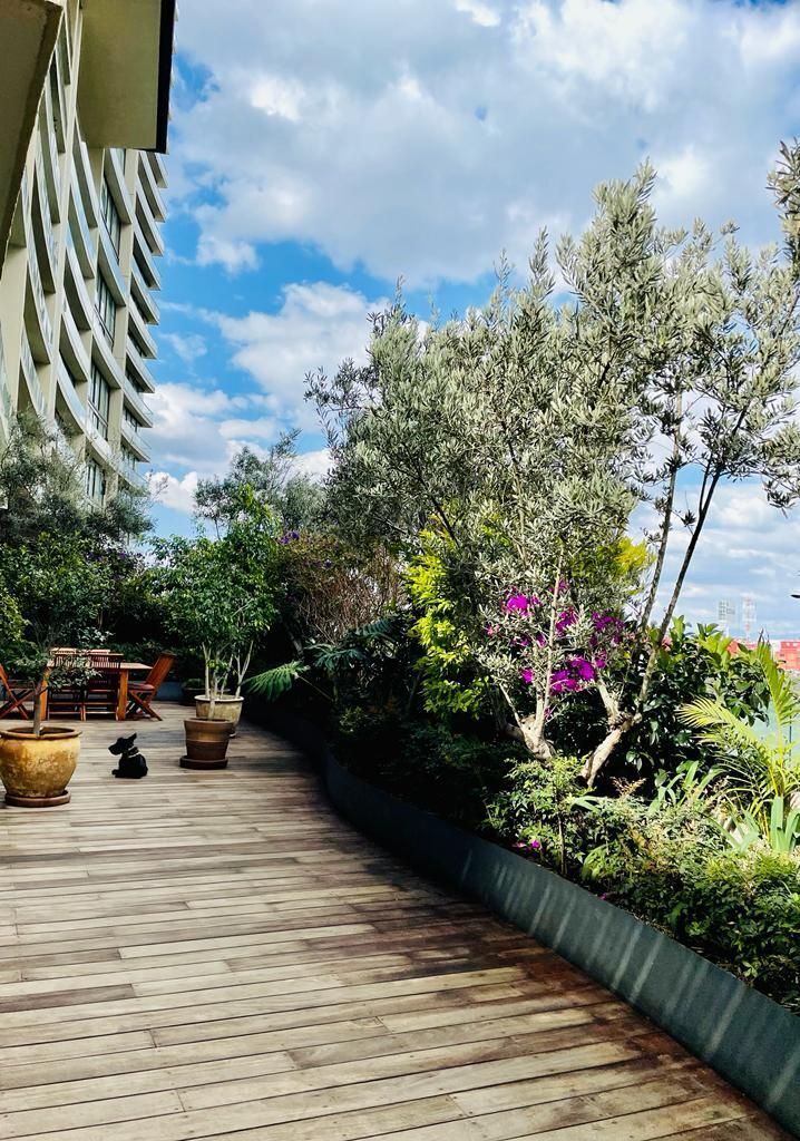 VENDO DEPARTAMENTO CON TERRAZA EN BOSQUES