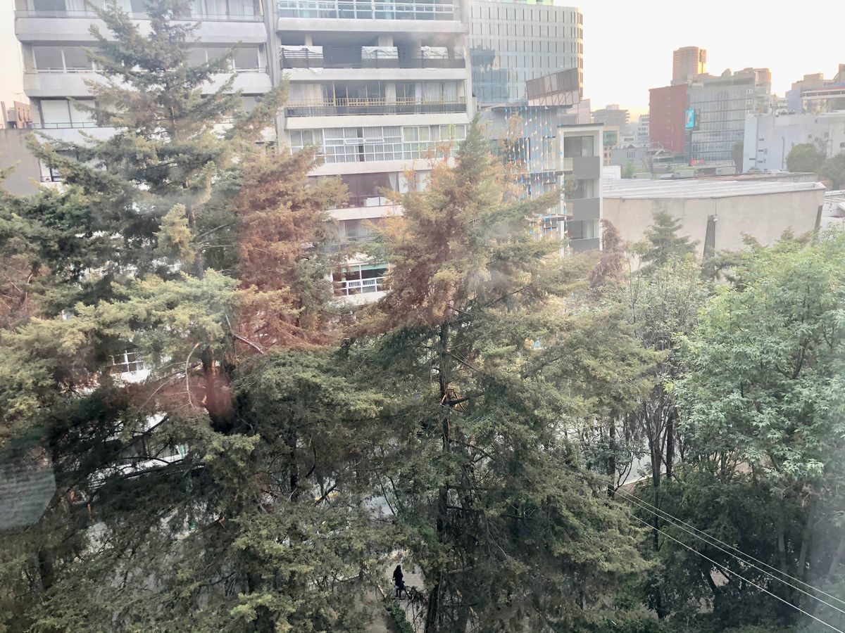 VENDO DEPARTAMENTO AMPLIO EN POLANCO CON BUENA VISTA