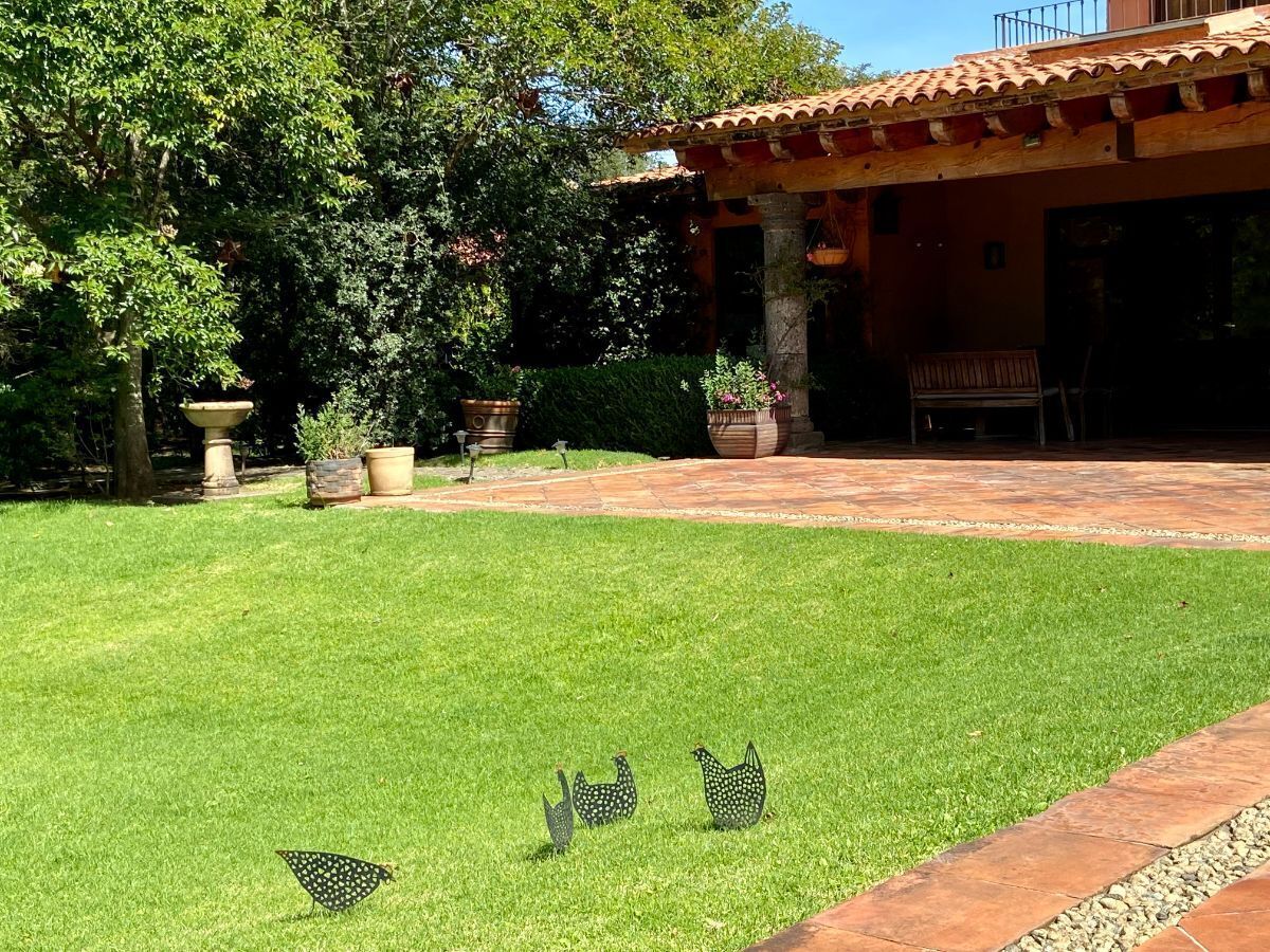 Casa De Campo, Con Pozo De Agua Propio, En Venta, En Huasca De Ocampo