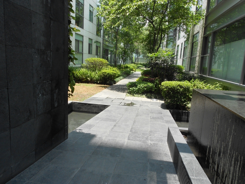 Departamento Renta Lomas De Chapultepec Palmas Park
